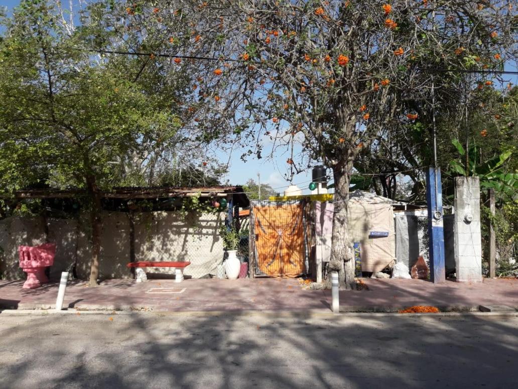 Hostal Y Camping Las G Bacalar Eksteriør billede